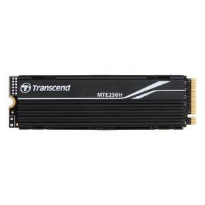 트랜센드 MTE250H 히트싱크 M.2 NVMe SSD (4TB)