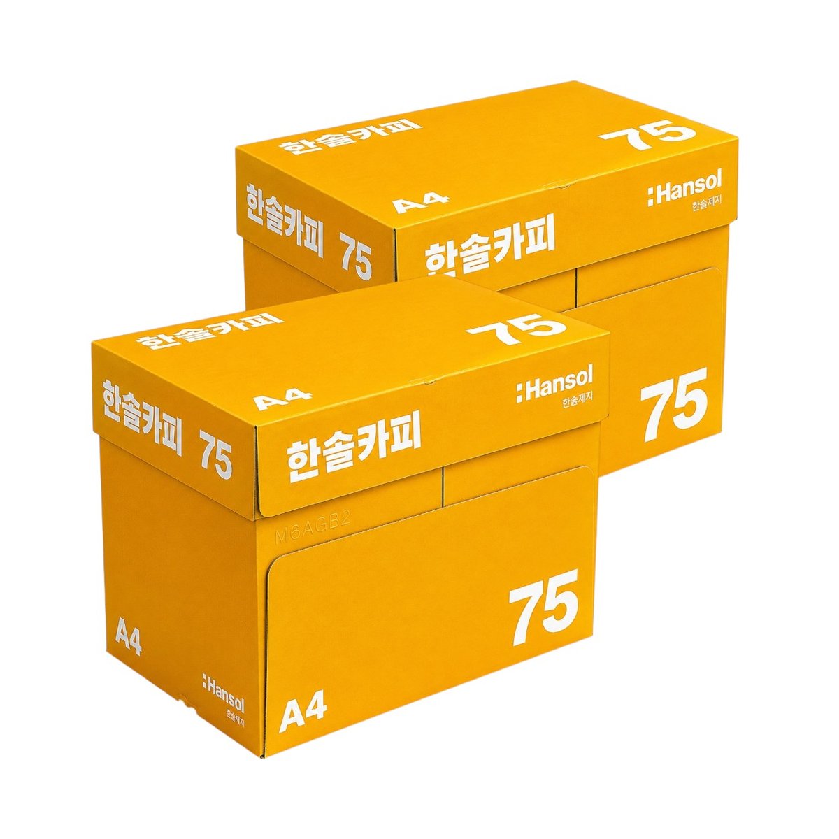 확대된 대표 메인이미지