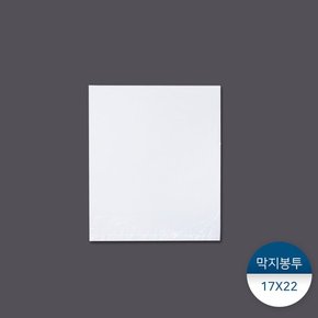 막지봉투 17X22 100장