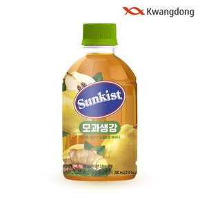 (G) 광동 썬키스트 모과생강 280ml x 24개