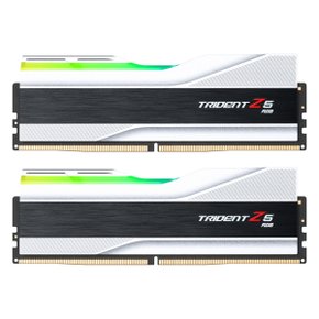 지스킬 DDR5-6400 CL32 TRIDENT Z5 RGB J 실버 64GB