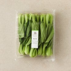  청경채 550g (7~11입)