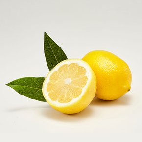 최상급 팬시 레몬 대과 5kg 내외(33과)