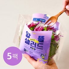 데일리 알뜰 샐러드 퍼플 100g x 5팩