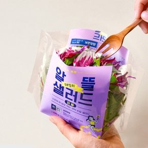 데일리 알뜰 샐러드 퍼플 100g x 5팩