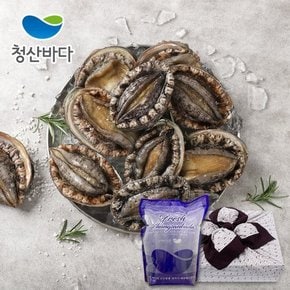 [명절이후배송][산지직송] 완도전복[특大] 7-8미 1kg+백화점보자기포장