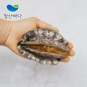 [명절이후배송][산지직송] 완도전복[특大] 7-8미 1kg+백화점보자기포장