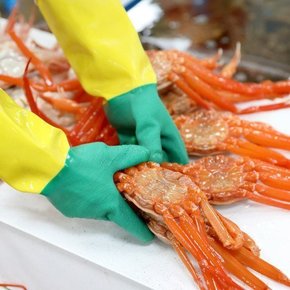 동해안 자숙 홍게 정품 6kg 20미내외