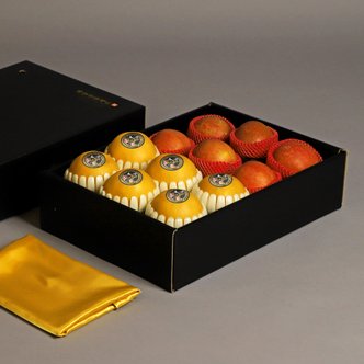 달찐과일 사과배 혼합 선물세트 1호 5kg (배6,사과6) 금보자기 별도동봉
