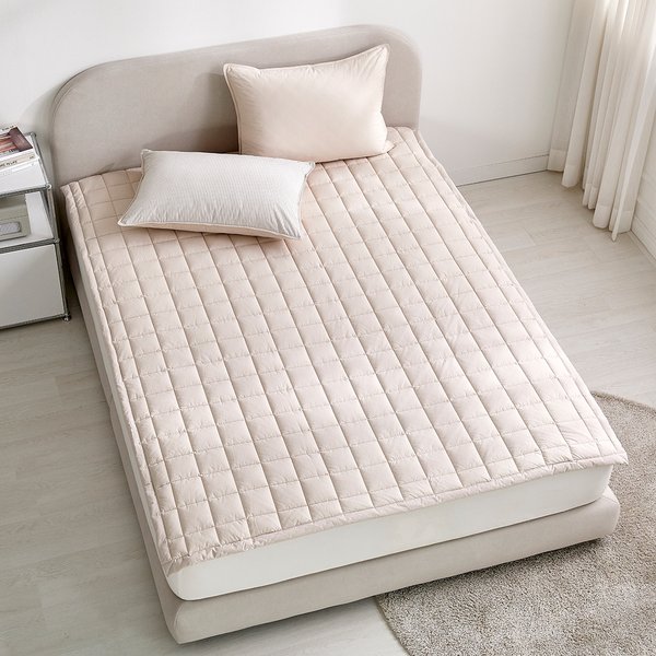 확대된 대표 대표이미지