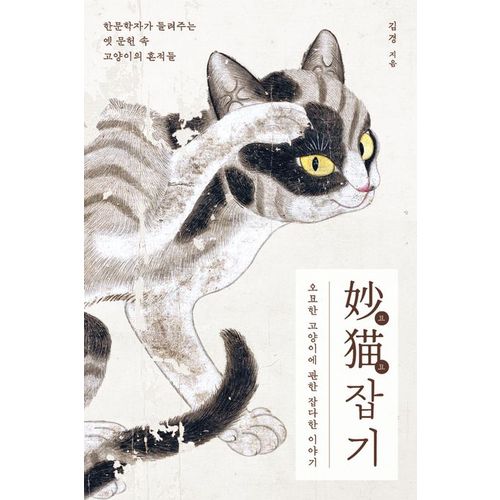 추가이미지4