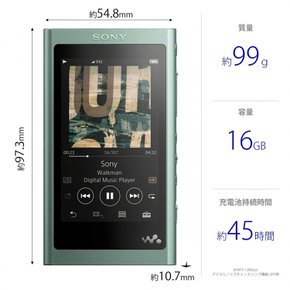 소니 워크맨 A 시리즈 16GB NW-A55 : MP3 플레이어 2018년 모델 호라이즌 그린 NW-A55 G