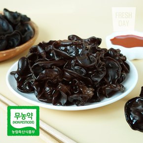 국내산 무농약 프리미엄 생 목이버섯 정품 5kg