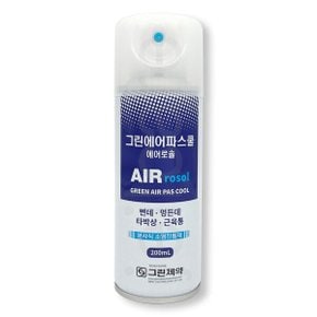 그린 에어파스 에어로솔 200ml 1개/스프레이파스