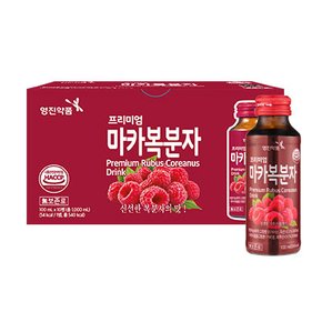 [보고신약]영진 프리미엄마카복분자 100ml*10병
