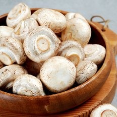 지투지샵 양송이버섯 2kg(특)