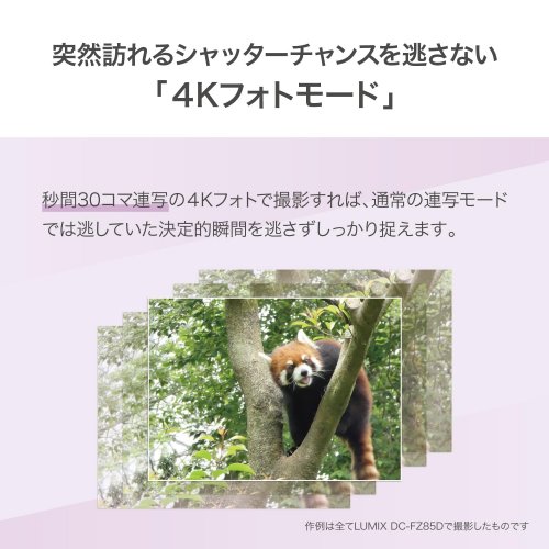 이미지4