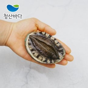 [명절이후배송][산지직송] 완도전복[大] 9-10미 1.6kg+백화점보자기포장