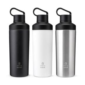 캐리보틀 리프 텀블러 530ml (WB22B82)[33185775]