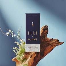 유산균 ELLE 에디션 1BOX