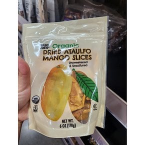 트레이더조 건 아타울포 망고 슬라이스 Trader Joes Dried Ataulfo Mango 170g 4개