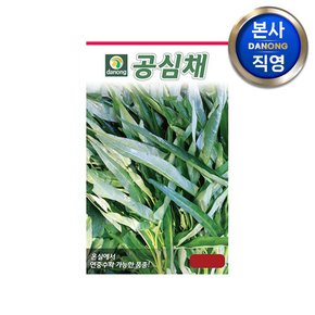 공심채 씨앗 10g . 야채 채소 텃밭 파종 재배 주말 농장 씨 종자