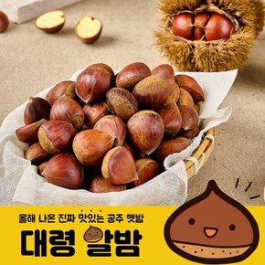 26년 공주 정안 대령 알밤 500g 대
