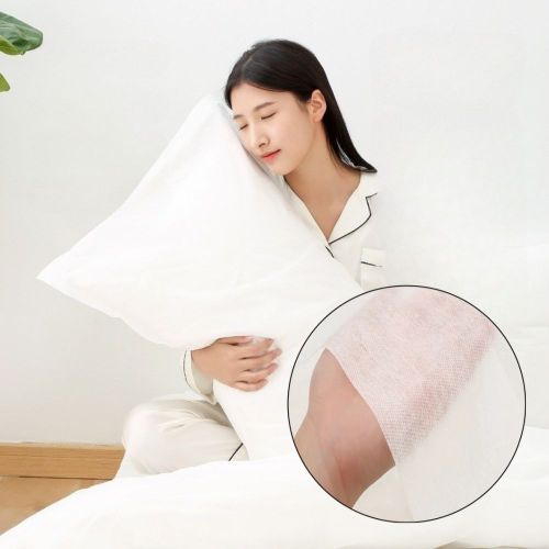 다육이 전용 분갈이 흙2.5L, 이마트몰, 당신과 가장 가까운 이마트 다육이 전용 분갈이 흙2.5L