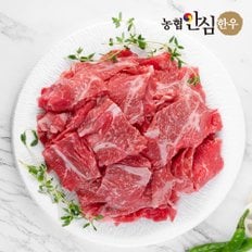 [냉동] 1등급 한우 불고기용 300g