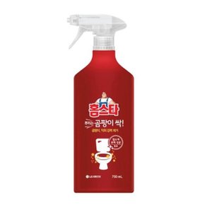 홈 스타 뿌리는 곰팡이싹 세정제 750ml