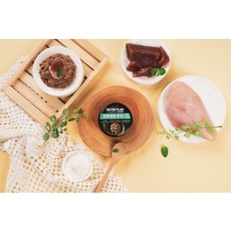 동원 뉴트리플랜 하루영양 주식 어덜트(면역&관절) 85g