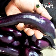 식탐대첩 국내산 못난이 가지 5kg