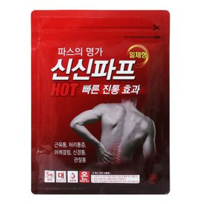 신신파프 일체형 핫파스 대 10cm 14cm 5매입 X ( 2세트 )