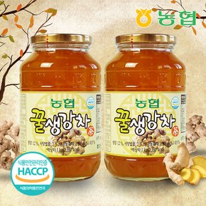 [농협] 향긋한 고흥 꿀 생강차 생강청 1kg+1kg