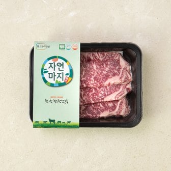  [냉장][자연마지] 무항생제 한우 1+등급 채끝 구이 300g