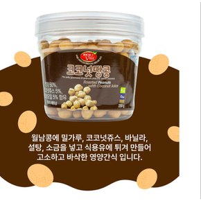 영남 리치빌코코넛땅콩230g