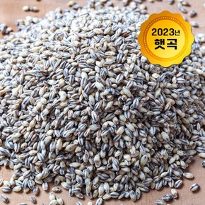 23년산 흑보리(국산) 1kg