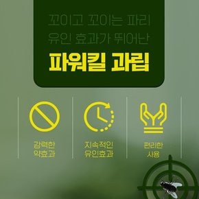 대일 에스파워킬 과립 100g 1개   5개입/box 디노테퓨란 초강력 초파리 파리 유인살충제