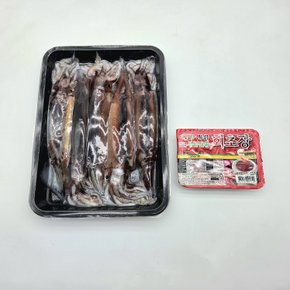 가락시장 활오징어 5미 750g