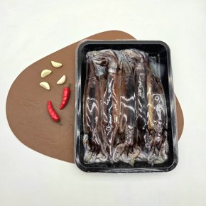 가락시장 활오징어 5미 750g