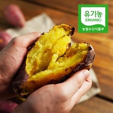 [유기농] 24년수확 해남 황토 밤고구마 5kg(한입)