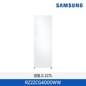 [소상공인 제품] 삼성전자 냉동고 이지핸들 스탠드형 227L RZ22CG4000WW