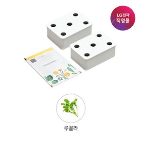[LG전자 직영][택배배송] 틔운 씨앗키트 LPM49 루꼴라 (오브제컬렉션 호환)
