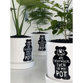 powerplant x intangible 베어팟