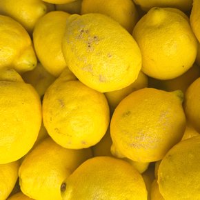 초이스 레몬 20입 (중과120g 140과)