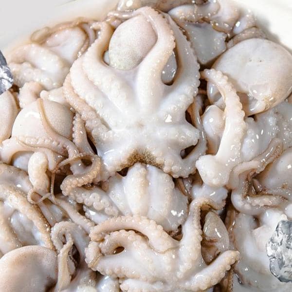 확대된 대표 급냉쭈꾸미 냉동 주꾸미 1kg (18미 내외) 통쭈꾸미 급랭쭈꾸미(1)