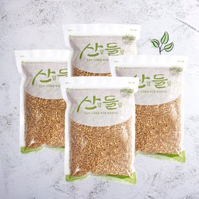 [명절 후 배송] [산담들담] 우리잡곡 국내산 호라산밀 1kgx4팩(4kg)