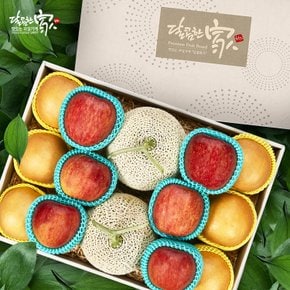 [9/21(월) 오전 9시결제건까지 명절전배송]프리미엄 에디션 과일혼합세트 3호(사과6+배6+메론2) 총 14과 9.3kg이상