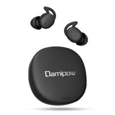 Damipow L29 Bluetooth 5.0 Type-C 잠자리 무선 이어폰 완전 무선 이어폰 초소형 캐널형