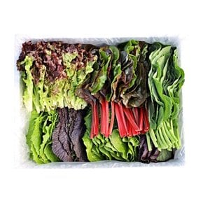 당일수확 GAP인증 친환경 유기농 모듬 쌈야채 쌈채소 1kg(4-6종 랜덤)
